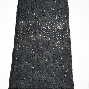 Wild Fable Skirt lace and Sequin NWT XS